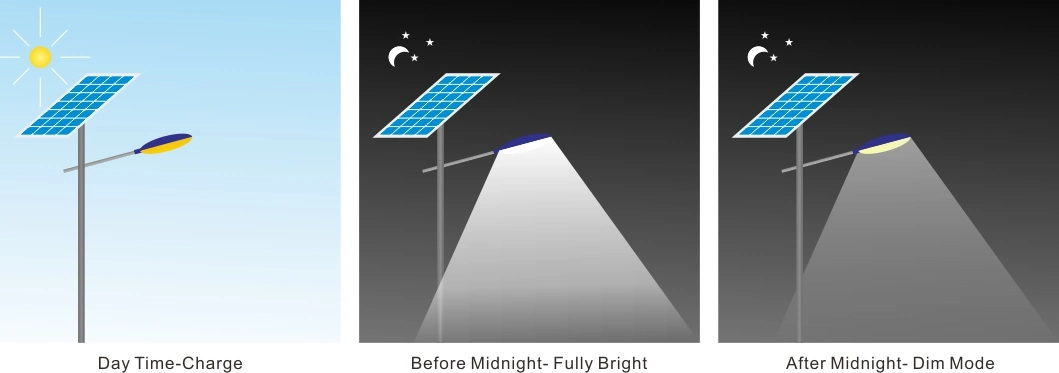 Government Project Fiber Optic Solar Light System